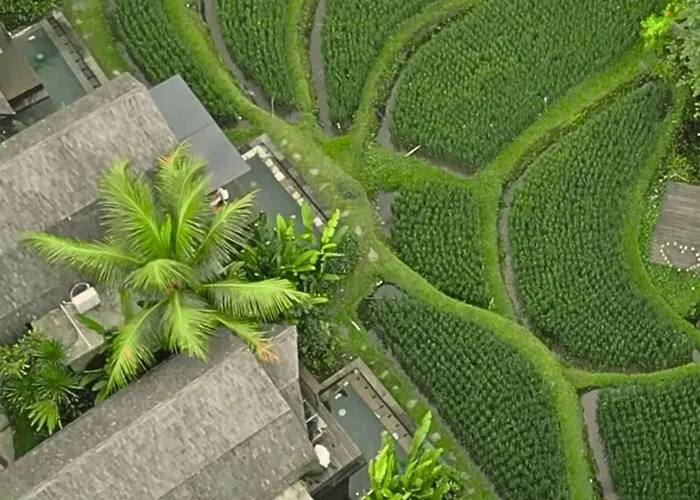 Menzel Villa Ubud